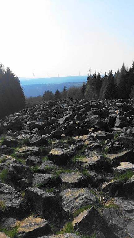 Landhaus Spanier Nonnweiler エクステリア 写真