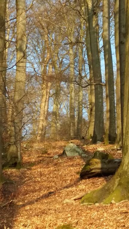 Landhaus Spanier Nonnweiler エクステリア 写真
